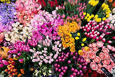 画质有缩水 但开发商尽量让《潜行者2》保持原样